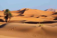 Desert Drift Kings: The Rise of Sand-Adaptive V8s di Alice Springs